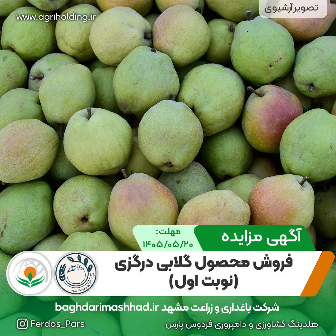آگهی مزایده عمومی فروش محصول گلابی درگزی (نوبت اول)