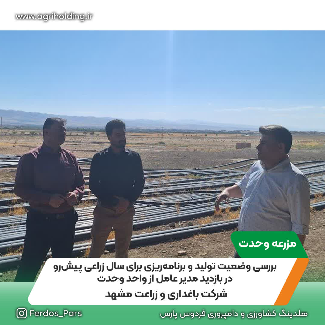 بررسی وضعیت تولید و برنامه‌ریزی برای سال زراعی پیش‌رو در بازدید مدیر عامل از واحد وحدت